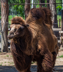 Similar image 13193279