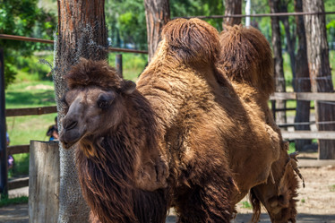 Similar image 13193281