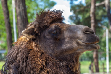 Similar image 13193298