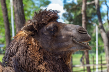 Similar image 13193300