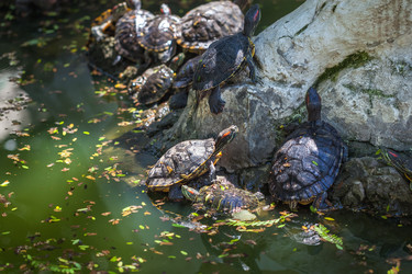 Similar image 13193399