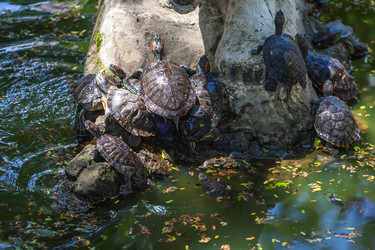 Similar image 13193401