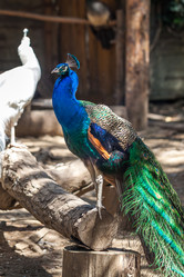 Similar image 13193421