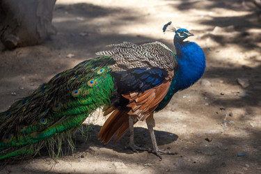 Similar image 13193439