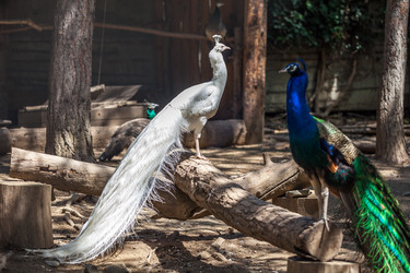 Similar image 13193457