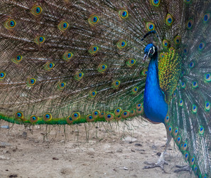 Similar image 13193500