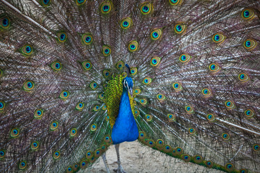 Similar image 13193520