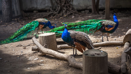 Similar image 13193521