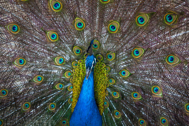 Similar image 13193612