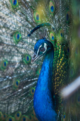 Similar image 13193713