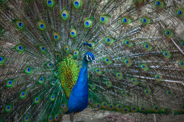 Similar image 13193717