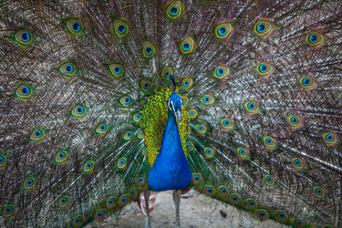 Similar image 13193726