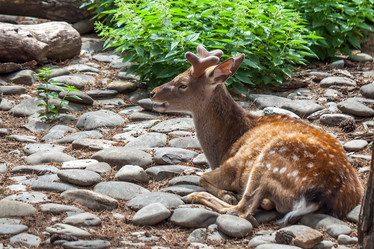 Similar image 13193743