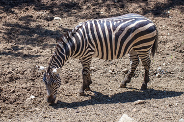 Similar image 13193802