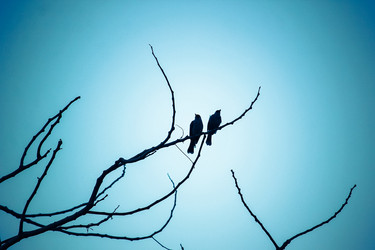 Similar image 13232094