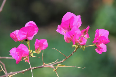 Similar image 13232096