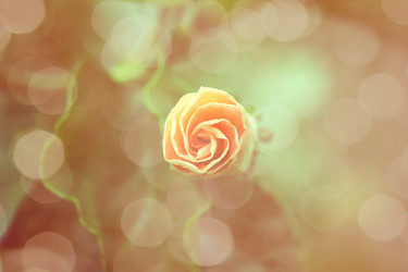 Similar image 13232097