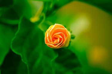 Similar image 13200881