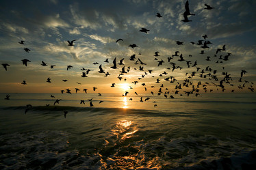 Similar image 13212115