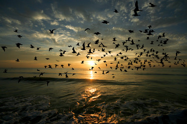 Similar image 13219224