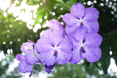 Similar image 13232098