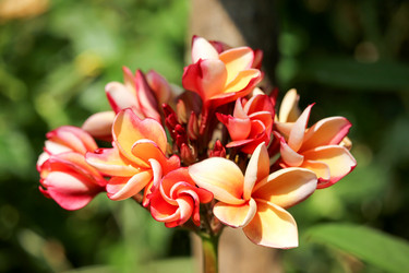 Similar image 13232099