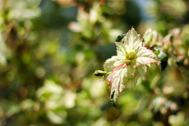 Similar image 13232114