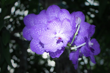 Similar image 13232116