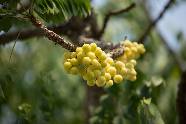 Similar image 13212359