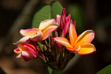 Similar image 13212361