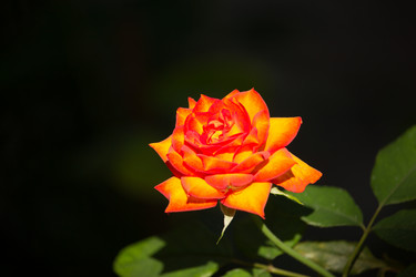 Similar image 13212118