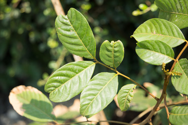 Similar image 13212119