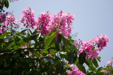 Similar image 13232102