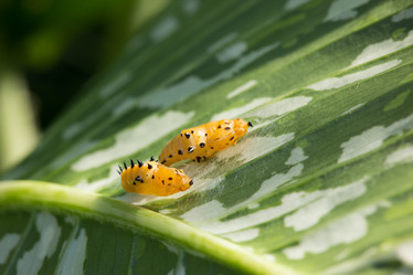 Similar image 13232103