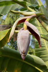 Similar image 13232104