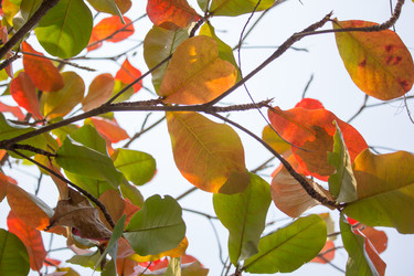 Similar image 13232106