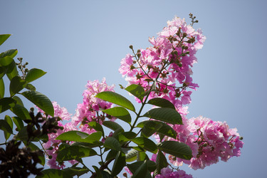 Similar image 13232117