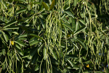 Similar image 13232118