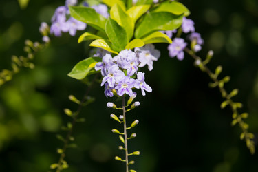 Similar image 13200875