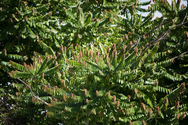 Similar image 13200876