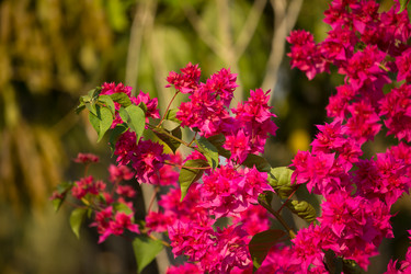 Similar image 13200877