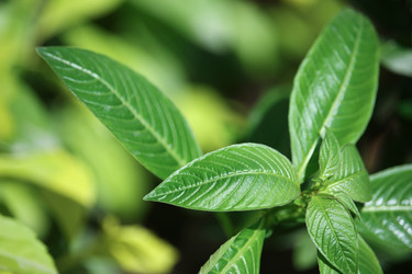 Similar image 13200883