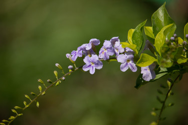 Similar image 13200884