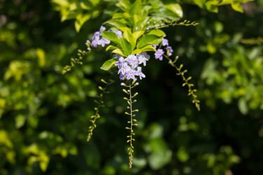 Similar image 13212362