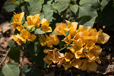 Similar image 13212363