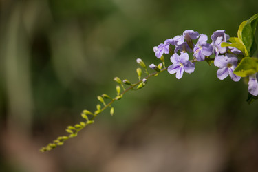 Similar image 13212364