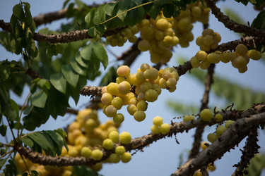 Similar image 13212365