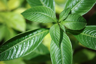 Similar image 13212367