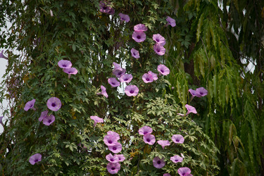 Similar image 13212368