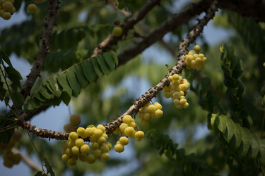 Similar image 13212120